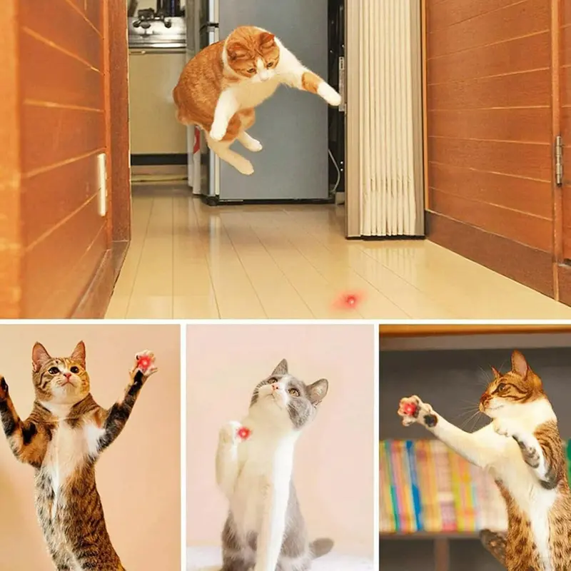 Rechargeable Green Laser Pointer – Long-Range Line Light Flashlight & Interactive Cat Toy